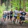 pferd-werkzeuge-lauf-2019-62