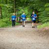 pferd-werkzeuge-lauf-2019-145