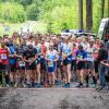 pferd-werkzeuge-lauf-2019-42