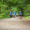 pferd-werkzeuge-lauf-2019-144