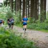 pferd-werkzeuge-lauf-2019-117