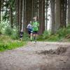 pferd-werkzeuge-lauf-2019-89