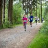 pferd-werkzeuge-lauf-2019-124