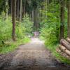 pferd-werkzeuge-lauf-2019-50