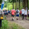 pferd-werkzeuge-lauf-2019-171