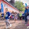 pferd-werkzeuge-lauf-2019-26