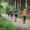 pferd-werkzeuge-lauf-2019-113
