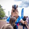 pferd-werkzeuge-lauf-2019-7