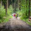 pferd-werkzeuge-lauf-2019-52