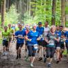 pferd-werkzeuge-lauf-2019-72