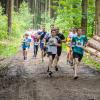 pferd-werkzeuge-lauf-2019-61