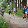 pferd-werkzeuge-lauf-2019-101