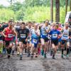 pferd-werkzeuge-lauf-2019-46