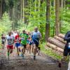pferd-werkzeuge-lauf-2019-57