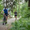 pferd-werkzeuge-lauf-2019-129