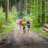 pferd-werkzeuge-lauf-2019-54