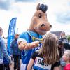 pferd-werkzeuge-lauf-2019-8