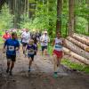 pferd-werkzeuge-lauf-2019-66