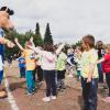 pferd-werkzeuge-lauf-2019-23