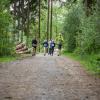 pferd-werkzeuge-lauf-2019-131