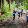 pferd-werkzeuge-lauf-2019-65