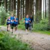 pferd-werkzeuge-lauf-2019-121