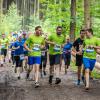 pferd-werkzeuge-lauf-2019-71